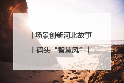 场景创新河北故事丨码头“智慧风”