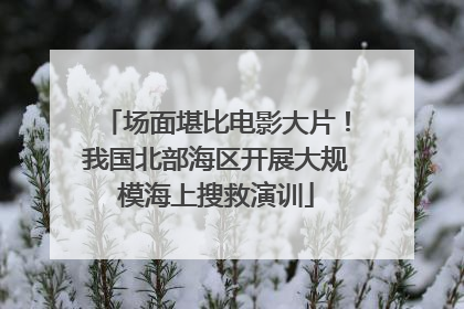 场面堪比电影大片！我国北部海区开展大规模海上搜救演训