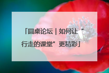 圆桌论坛｜如何让“行走的课堂”更精彩