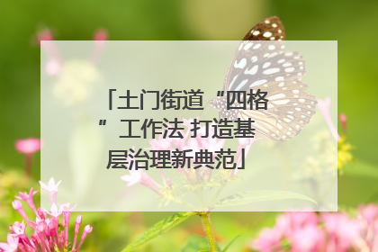 土门街道“四格”工作法 打造基层治理新典范