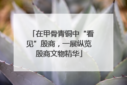 在甲骨青铜中“看见”殷商，一展纵览殷商文物精华