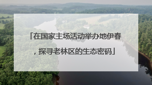 在国家主场活动举办地伊春，探寻老林区的生态密码