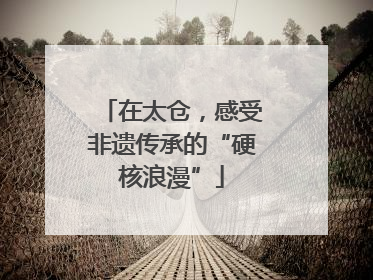在太仓，感受非遗传承的“硬核浪漫”