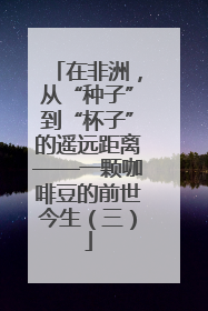 在非洲，从“种子”到“杯子”的遥远距离——一颗咖啡豆的前世今生（三）