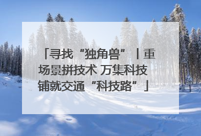 寻找“独角兽”丨重场景拼技术 万集科技铺就交通“科技路”