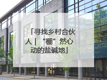 寻找乡村合伙人｜“棚”然心动的盐碱地