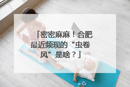 密密麻麻！合肥最近频现的“虫卷风”是啥？