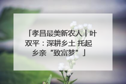 孝昌最美新农人丨叶双平：深耕乡土 托起乡亲“致富梦”