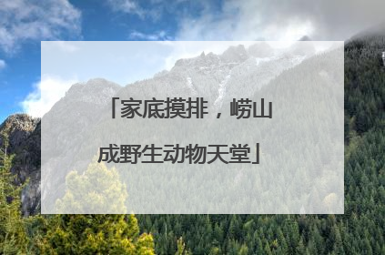 家底摸排，崂山成野生动物天堂