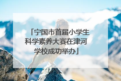 宁国市首届小学生科学素养大赛在津河学校成功举办