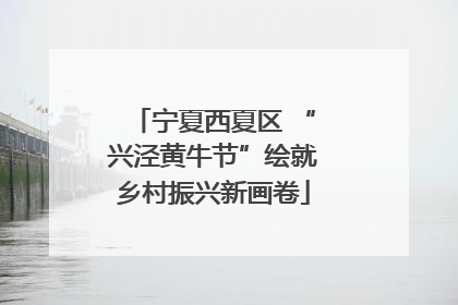 宁夏西夏区 “兴泾黄牛节”绘就乡村振兴新画卷