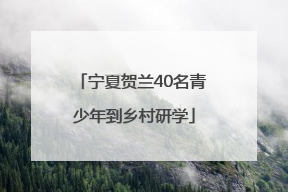 宁夏贺兰40名青少年到乡村研学