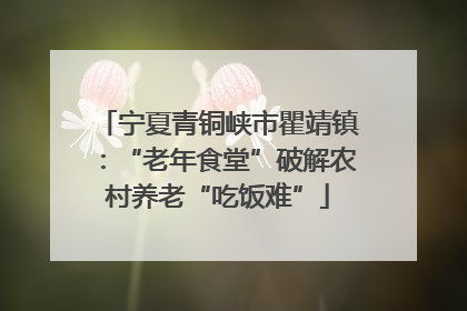 宁夏青铜峡市瞿靖镇：“老年食堂”破解农村养老“吃饭难”
