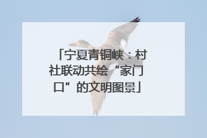 宁夏青铜峡：村社联动共绘“家门口”的文明图景
