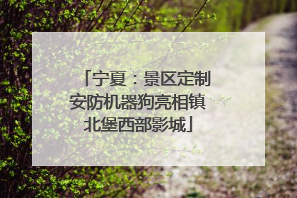 宁夏：景区定制安防机器狗亮相镇北堡西部影城