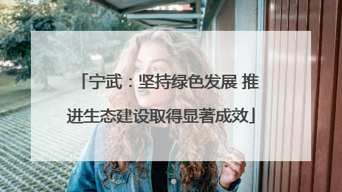 宁武：坚持绿色发展 推进生态建设取得显著成效