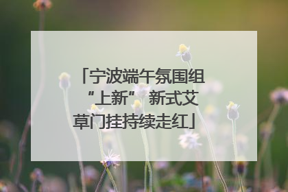宁波端午氛围组“上新” 新式艾草门挂持续走红