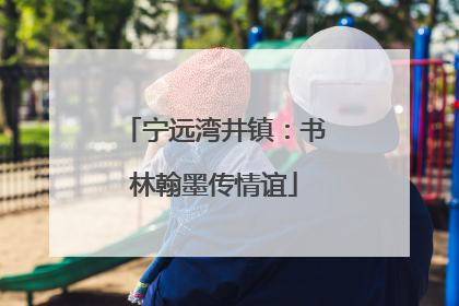 宁远湾井镇：书林翰墨传情谊
