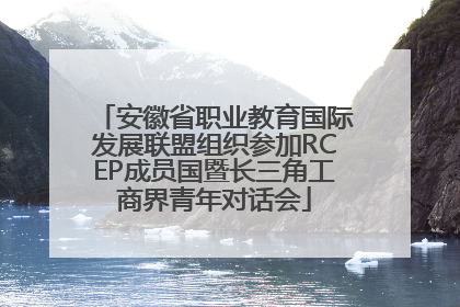 安徽省职业教育国际发展联盟组织参加RCEP成员国暨长三角工商界青年对话会