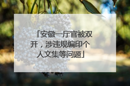 安徽一厅官被双开，涉违规编印个人文集等问题