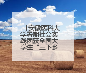 安徽医科大学暑期社会实践团获全国大学生“三下乡”社会实践活动优秀团队