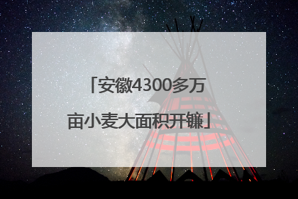 安徽4300多万亩小麦大面积开镰