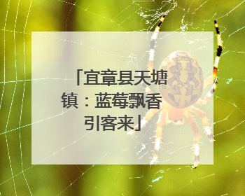 宜章县天塘镇：蓝莓飘香引客来