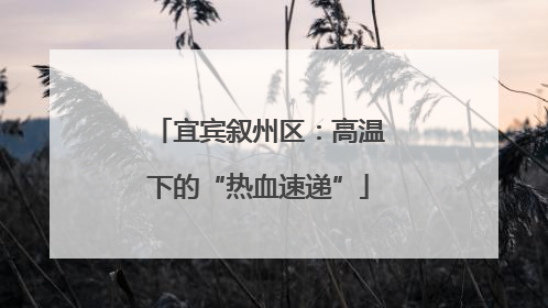 宜宾叙州区：高温下的“热血速递”
