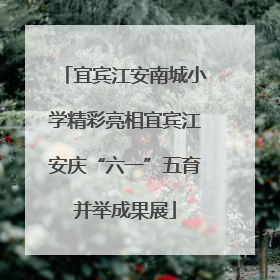 宜宾江安南城小学精彩亮相宜宾江安庆“六一”五育并举成果展