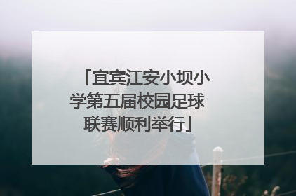 宜宾江安小坝小学第五届校园足球联赛顺利举行