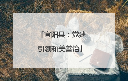 宜阳县：党建引领和美善治