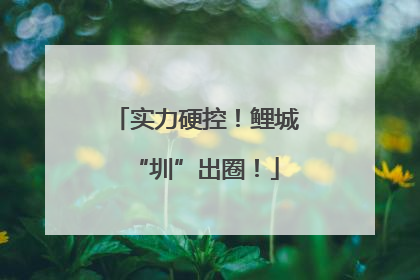 实力硬控！鲤城“圳”出圈！