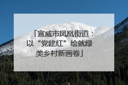 宣威市凤凰街道：以“党建红”绘就绿美乡村新画卷