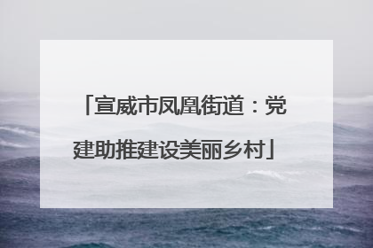 宣威市凤凰街道：党建助推建设美丽乡村