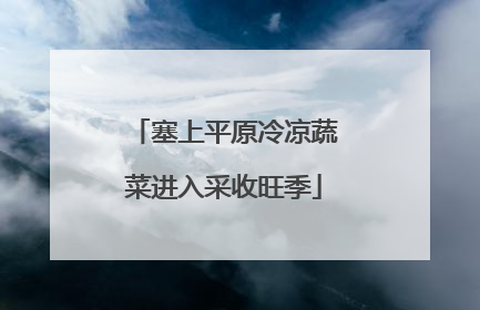 塞上平原冷凉蔬菜进入采收旺季