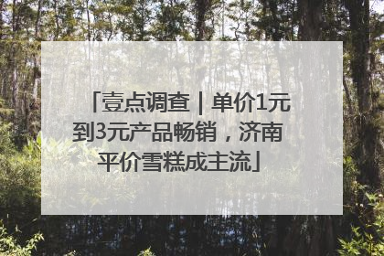 壹点调查｜单价1元到3元产品畅销，济南平价雪糕成主流