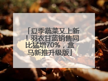 夏季蔬菜又上新！羽衣甘蓝销售同比猛增70%，盒马新推升级版