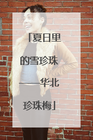 夏日里的雪珍珠——华北珍珠梅