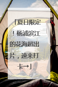 夏日限定！杨浦滨江的花海超出片，速来打卡→