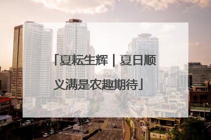 夏耘生辉｜夏日顺义满是农趣期待