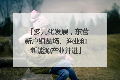多元化发展，东营新户镇盐场、渔业和新能源产业并进