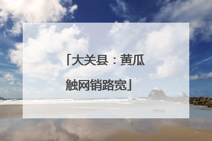 大关县：黄瓜触网销路宽