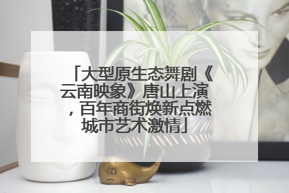大型原生态舞剧《云南映象》唐山上演，百年商街焕新点燃城市艺术激情