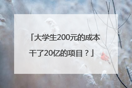 大学生200元的成本干了20亿的项目？