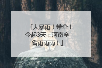 大暴雨！带伞！今起3天，河南全省雨雨雨！