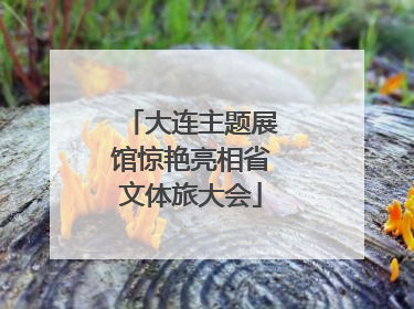 大连主题展馆惊艳亮相省文体旅大会