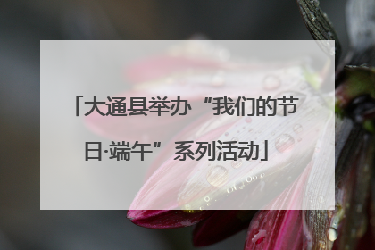 大通县举办“我们的节日·端午”系列活动