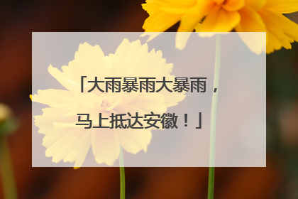 大雨暴雨大暴雨，马上抵达安徽！