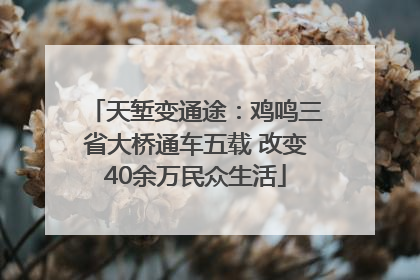 天堑变通途：鸡鸣三省大桥通车五载 改变40余万民众生活