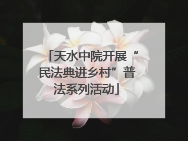 天水中院开展“民法典进乡村”普法系列活动